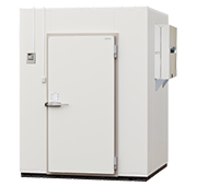 ウインドタイプ